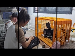 কাস্টম জুতার সার্ভিস ফ্যাক্টরি